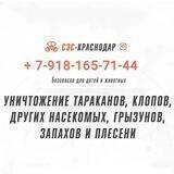СЭС-Краснодар