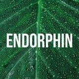Кроссовки “Endorphin”