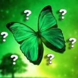 ЧАТ | MakeProfit 💚