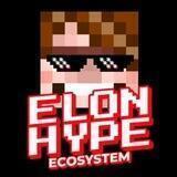 ElonHype Ecosystem | Forever Pump