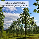 🌱Pavlovniya kitob tumani