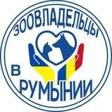 Зоовладельцы в Румынии🐕🐈‍⬛🇷🇴🇺🇦