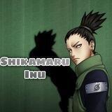 Shikamaru Inu Portal