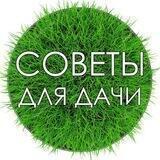 Советы для дачи