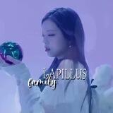 lapillus family←