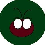 Coccinellidae Finance Official 🐞