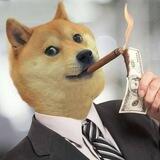 DOGE CFO