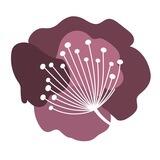 Flowers_plus_kr
