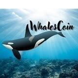 🐳🐳WHALES ANNOUCMENT🐳🐳