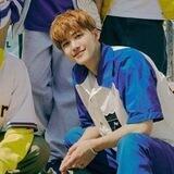 Arva arsip