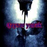 🍃QAYSAR YURAK🕊