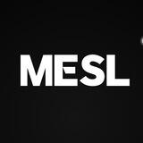 Mesl Cloud