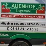 Auenhof Biogemüse
