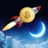 투더문 코인정보🚀🌙