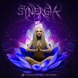 DJ Synergia (Microcosmos Records)