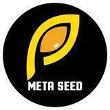 META SEED 🌱