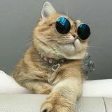 КОТЯ-МОТЯ🐱