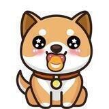 Baby doge Son 中文官方社区🇨🇳
