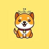 Baby Doge CEO Group