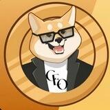 DOGE CEO 0% TAX