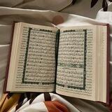 مدارسات سور قرآنية ")