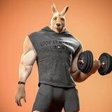 Kangaroo 中文社区