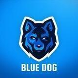 Blue Dog