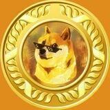 DOGE GOLD • DOGECHAIN