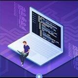 Electronics VS Programming