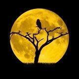 LUNA in Düs