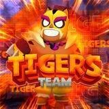 ✨𝐓𝐢𝐆𝐞𝐫𝐬 | 𝐓𝐄𝐀𝐌🐯