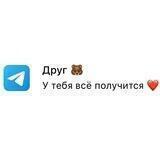 Друг 🐻