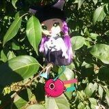 🌺𝔻𝕠𝕝𝕝_ 𝕃𝕒𝕣𝕒🐈