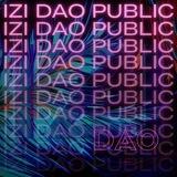 Izi DAO Public