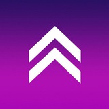 Demis Group – digital & performance marketing