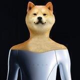 Optimus Doge