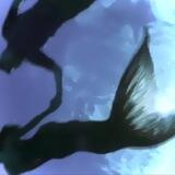 Wᴀᴛᴇr Nyʍᴩhs [анкеты]