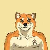 Troy Inu 2.0