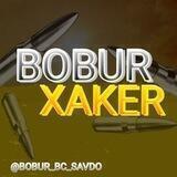 BOBUR BC ISBOTLARI