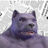 DAWG Portal