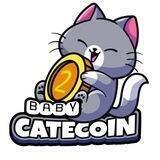 Baby Catecoin 2 Portal