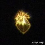 Faszination Orbs