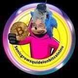 sonicgrowsquidelonbitcoininu