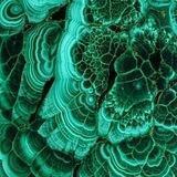 Fashion from Nature