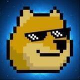 DogePunks | NFTs Project