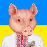 ИНКУБАТОР ХОХЛОВ