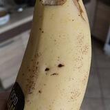 Banana_Meme