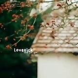 𖥻lovesick🧺⌁
