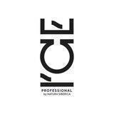 ICE Professional