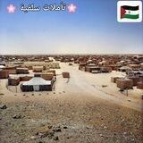 🌸تأمُلات سلفية 🌸